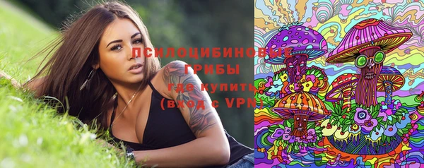 бутират Гусев