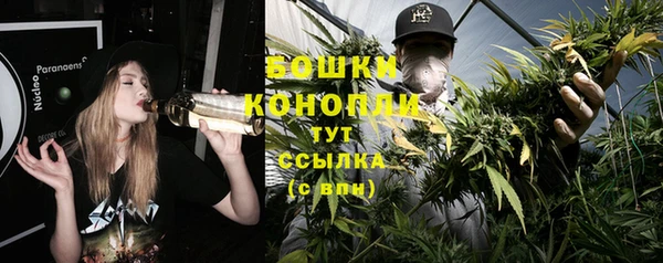 jwh Гусь-Хрустальный