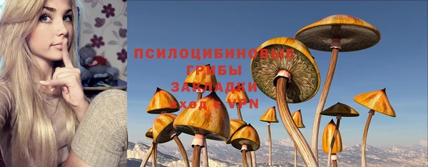 марки lsd Дмитриев