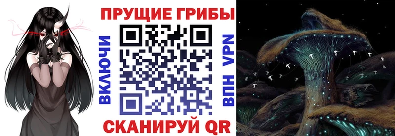 Галлюциногенные грибы GOLDEN TEACHER  Чудово 